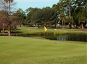 Rockledge Country Club