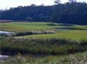 Golden Ocala Golf & Equestrian Club