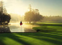 Innisbrook Resort and Golf Club - Island