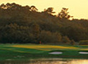 Sea Island Golf Club - Retreat Course