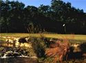 Barton Creek - Fazio Canyons