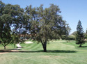 Arbuckle Golf Club