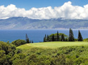 Kapalua Golf Club - Plantation Course