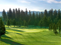 Whitetail Golf Club