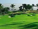 Mangrove Bay Golf Course